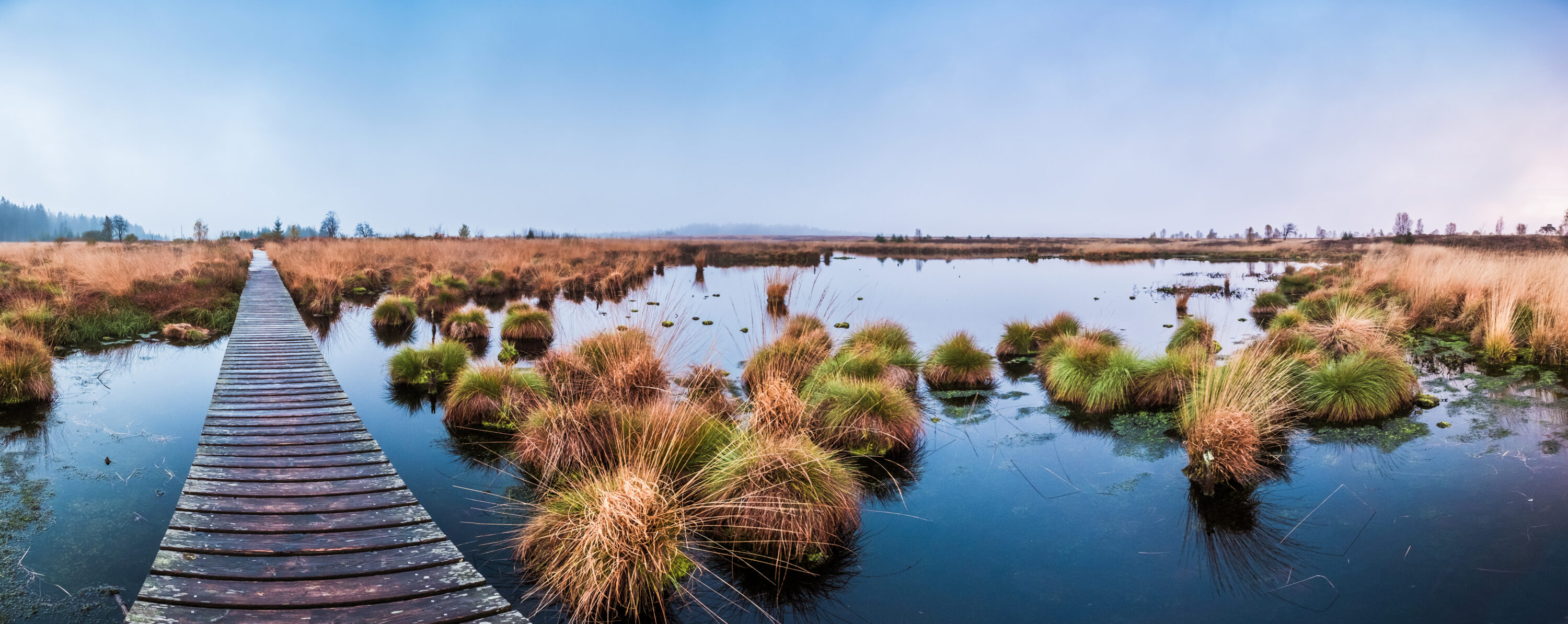 bog Hohes Venn in Belgium