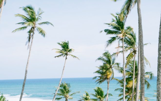 pexels-roman-odintsov-4871012